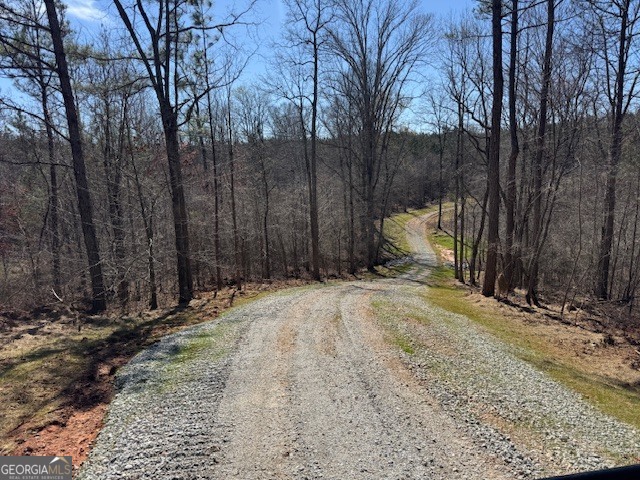 600 Yarbrough Road Franklin, GA 30217 - Photo 5 of 51