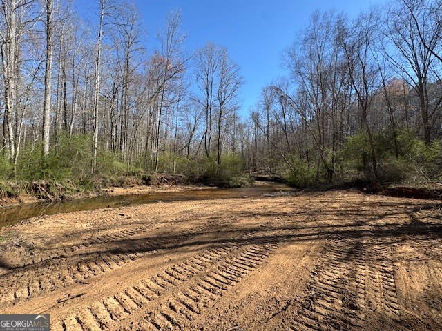 600 Yarbrough Road Franklin, GA 30217 - Photo 7 of 51