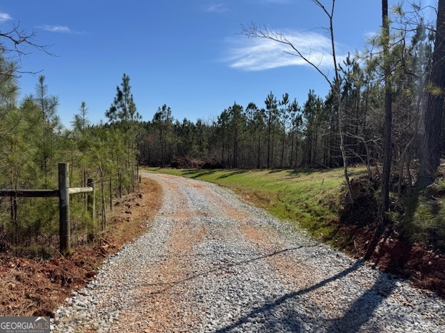 600 Yarbrough Road Franklin, GA 30217 - Photo 8 of 51