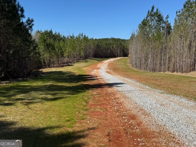 600 Yarbrough Road Franklin, GA 30217 - Photo 10 of 51