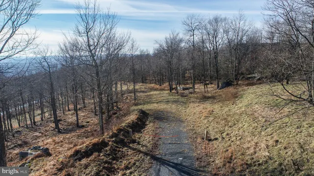 a view of backyard with green space