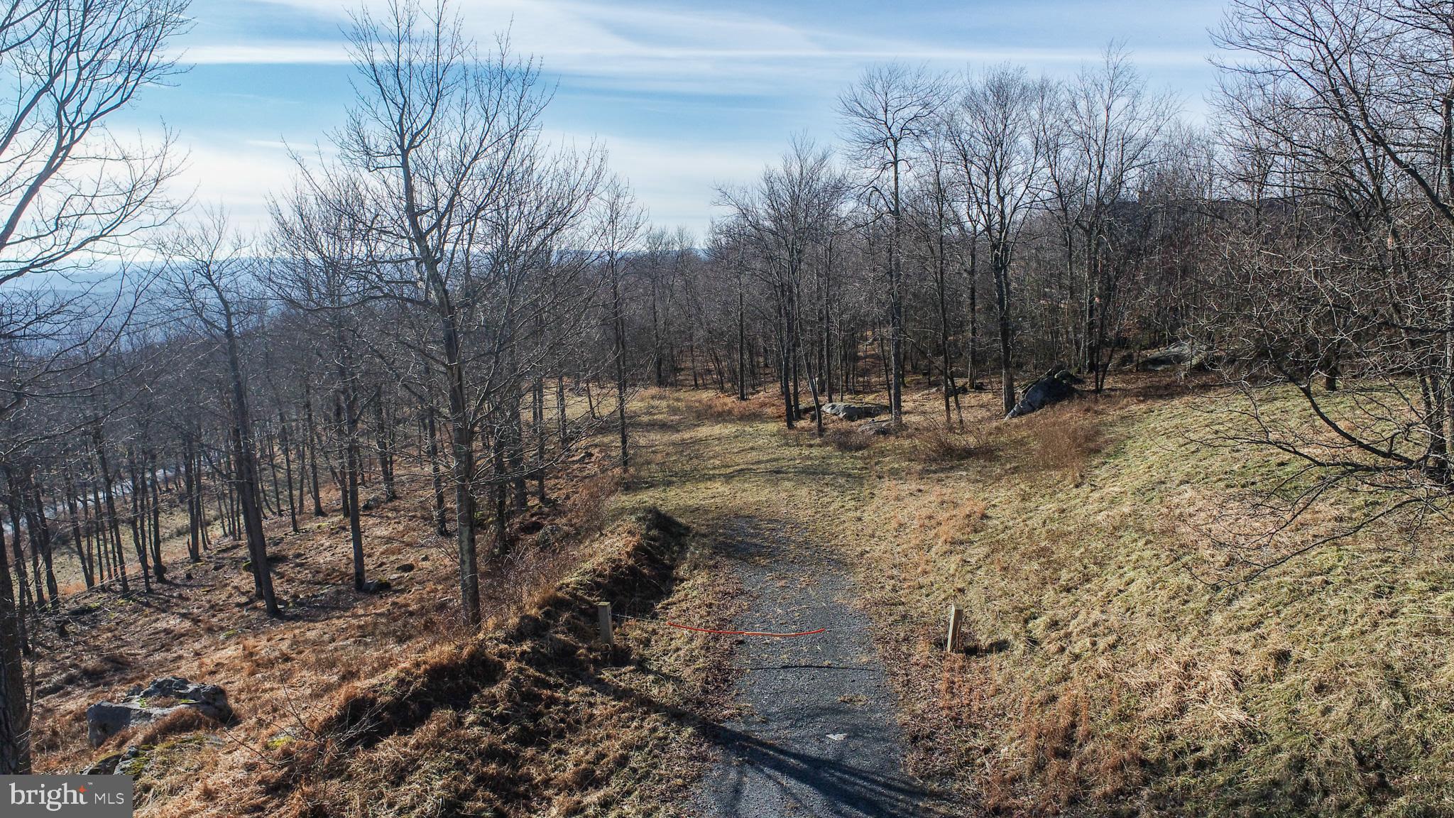 Lot 94 Wisp Adventure Road McHenry, MD 21541 - Photo 2 of 23