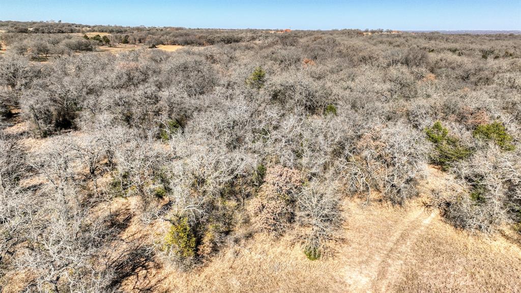 2048 Farm To Market 2048 Boyd, TX 76023 - Photo 13 of 21 a view of a dry yard with trees