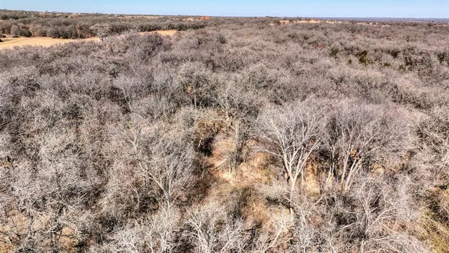 a view of a dry yard with trees
