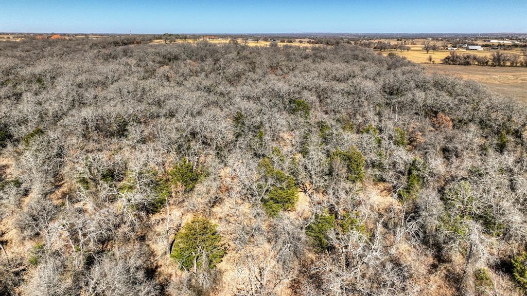 2048 Farm To Market 2048 Boyd, TX 76023 - Photo 16 of 21 a view of a dry yard with trees