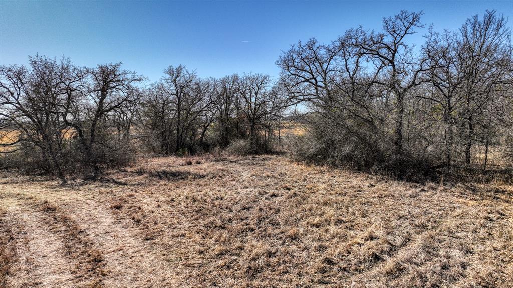 2048 Farm To Market 2048 Boyd, TX 76023 - Photo 19 of 21 a view of a yard with trees