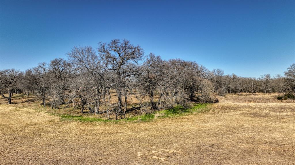 2048 Farm To Market 2048 Boyd, TX 76023 - Photo 9 of 21 a view of a yard with a tree