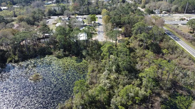 a view of a forest with a street