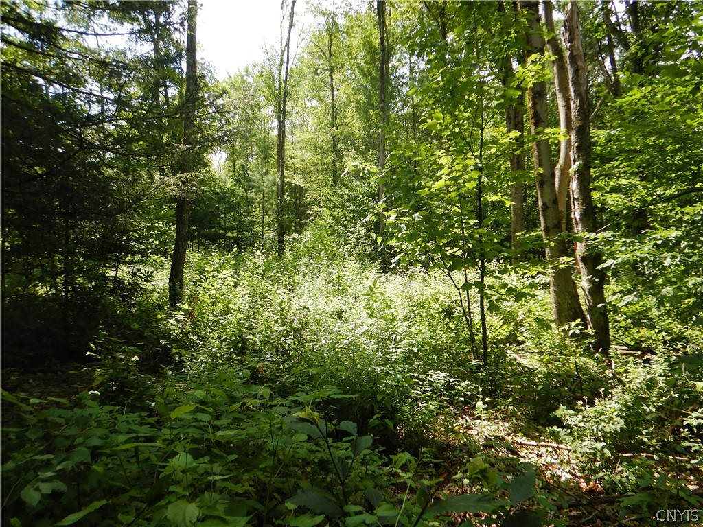 Bull Hill Road Newfield, NY 14867 - Photo 24 of 36