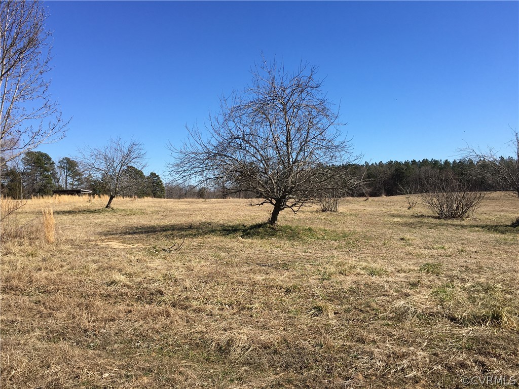3974 Cellar Creek Road Blackstone, VA 23824 - Photo 26 of 34