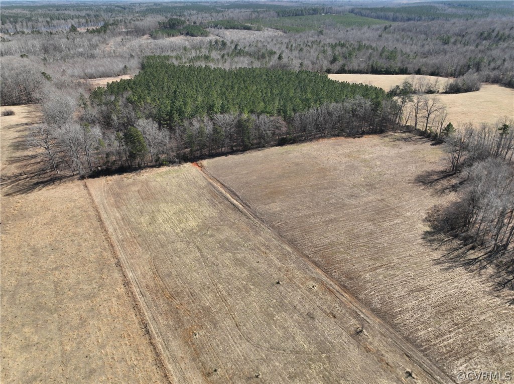 3974 Cellar Creek Road Blackstone, VA 23824 - Photo 28 of 34