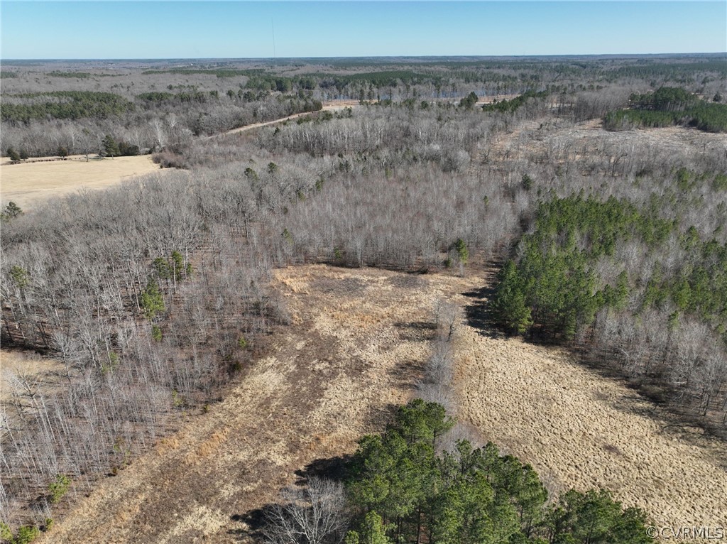 3974 Cellar Creek Road Blackstone, VA 23824 - Photo 32 of 34