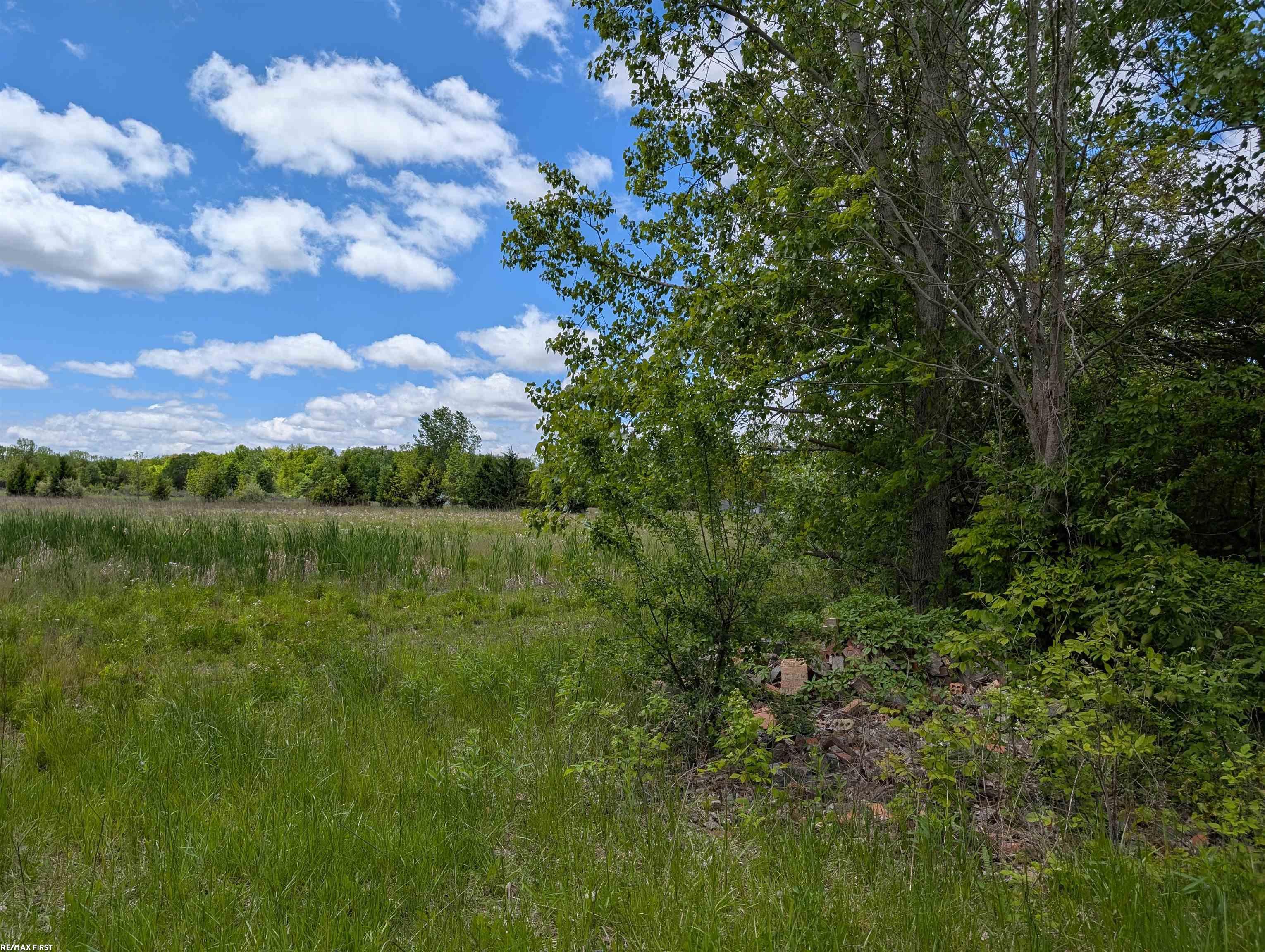 Masters Road Goodells, MI 48027 - Photo 6 of 7
