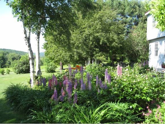 370 Hanover Center Road Hanover, NH 03750 - Photo 34 of 34
