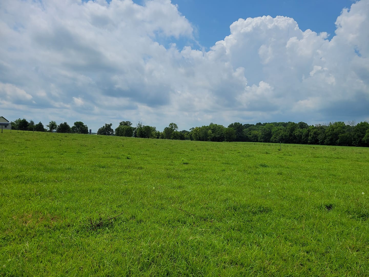 3 Beasley Road Chapel Hill, TN 37034 - Photo 1 of 1 Gallery Image 1