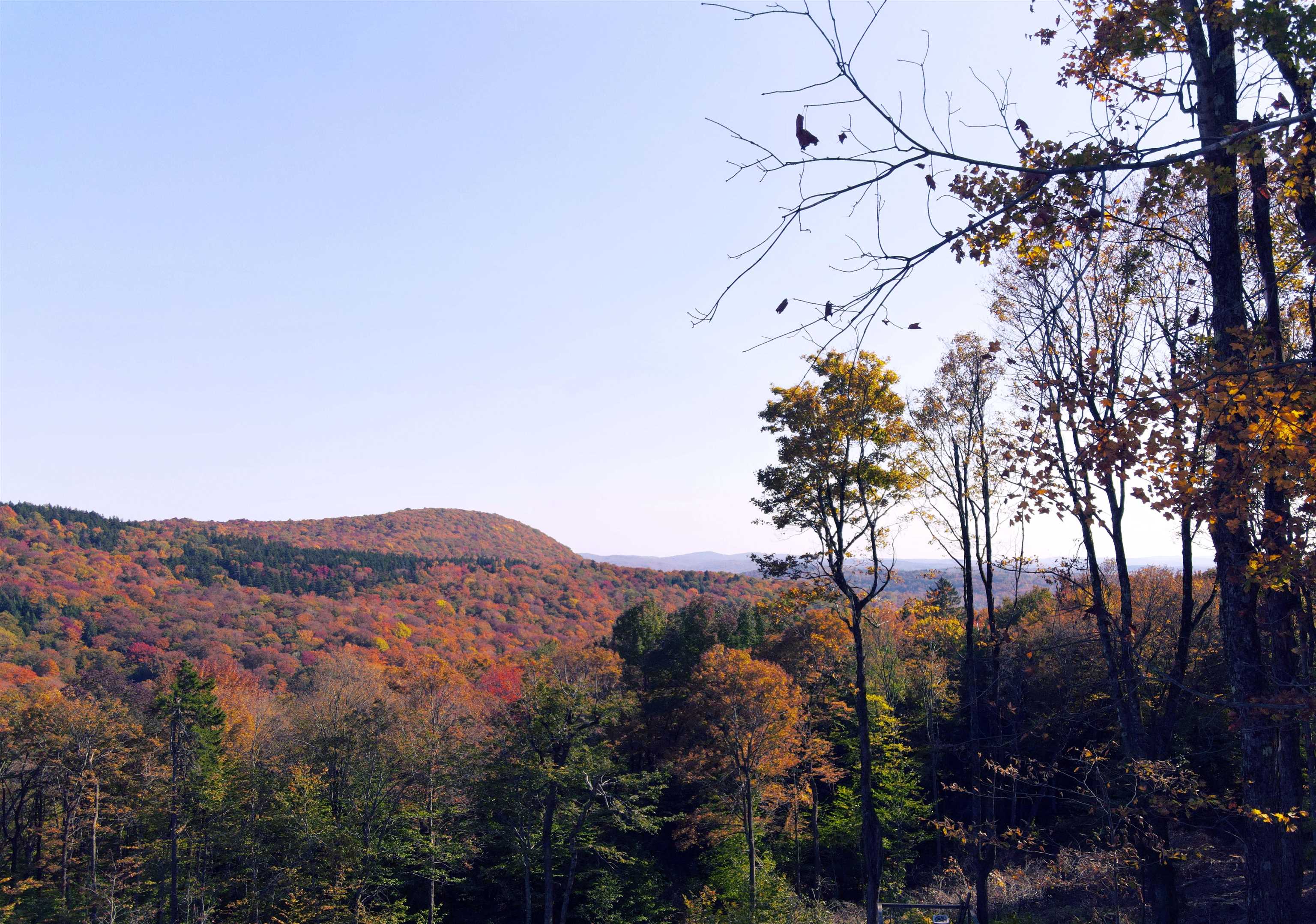 Lot 10-16 Overlook Drive West Dover, VT 05356 - Photo 9 of 13