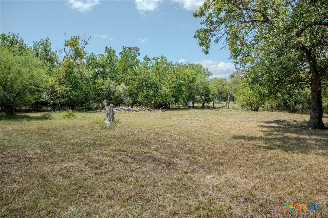 705 West Ash Street Edna, TX 77957 - Photo 19 of 19 a view of a trees with a yard
