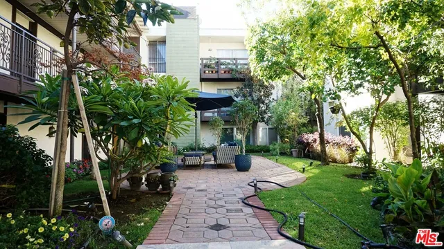 a view of a garden with plants