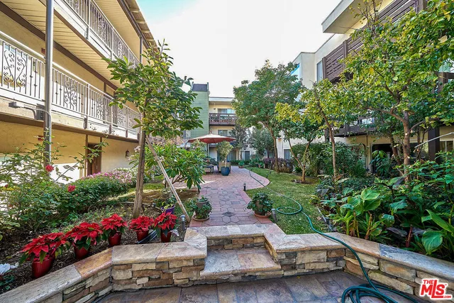 a view of a garden with potted plants