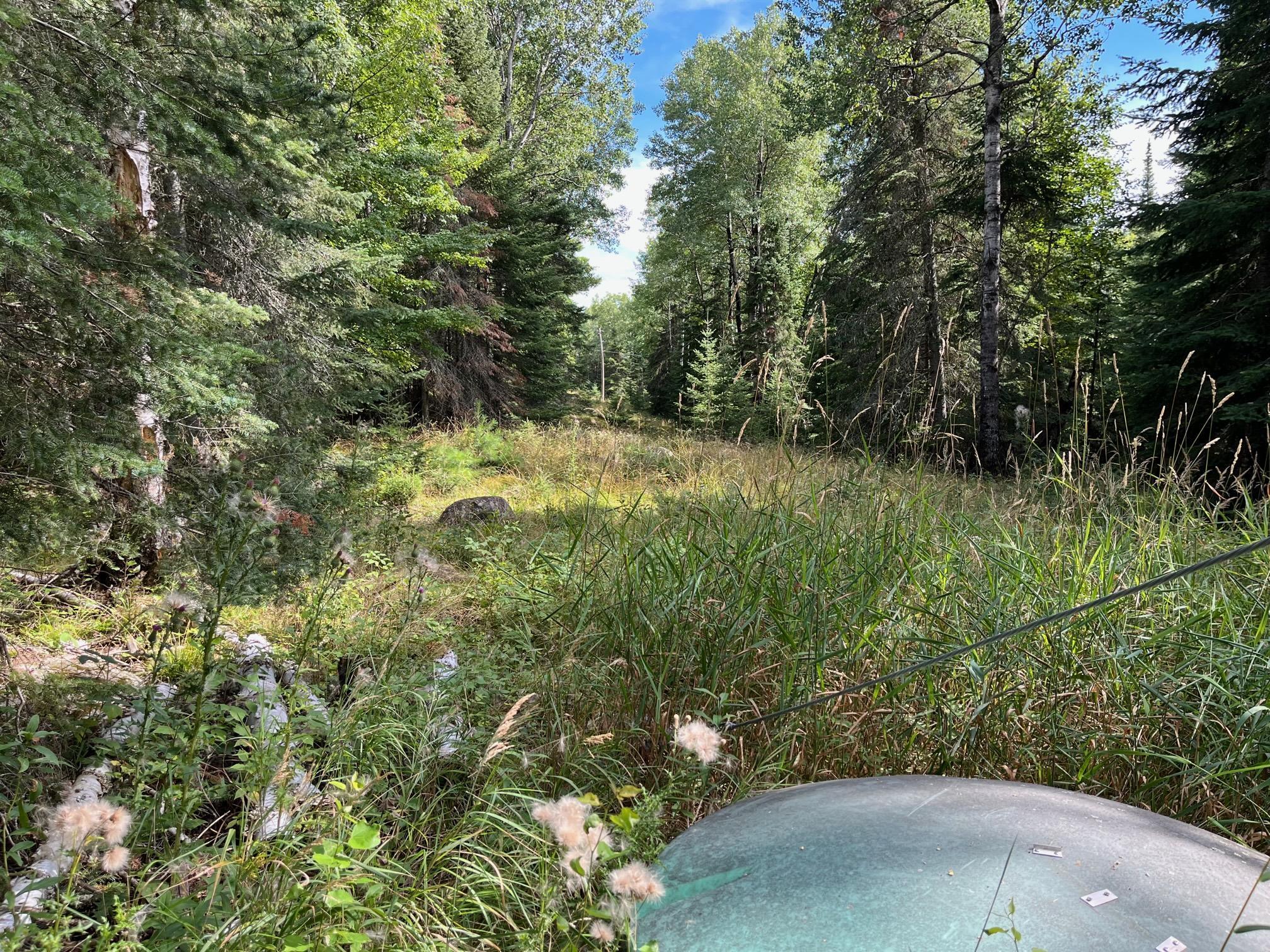 2485 Keyes Island International Falls, MN 56649 - Photo 27 of 41