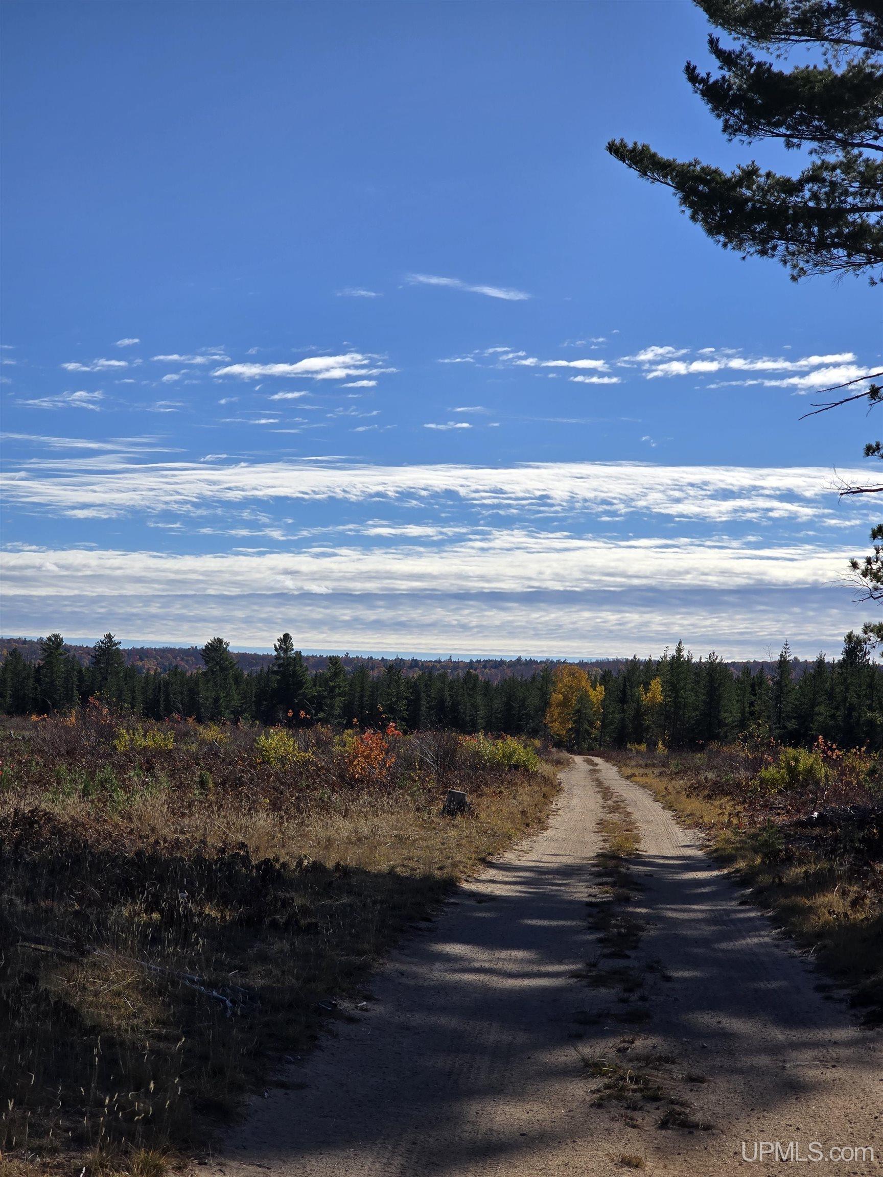 240-acres Co Rd Aaa Road Big Bay, MI 49808 - Photo 10 of 25