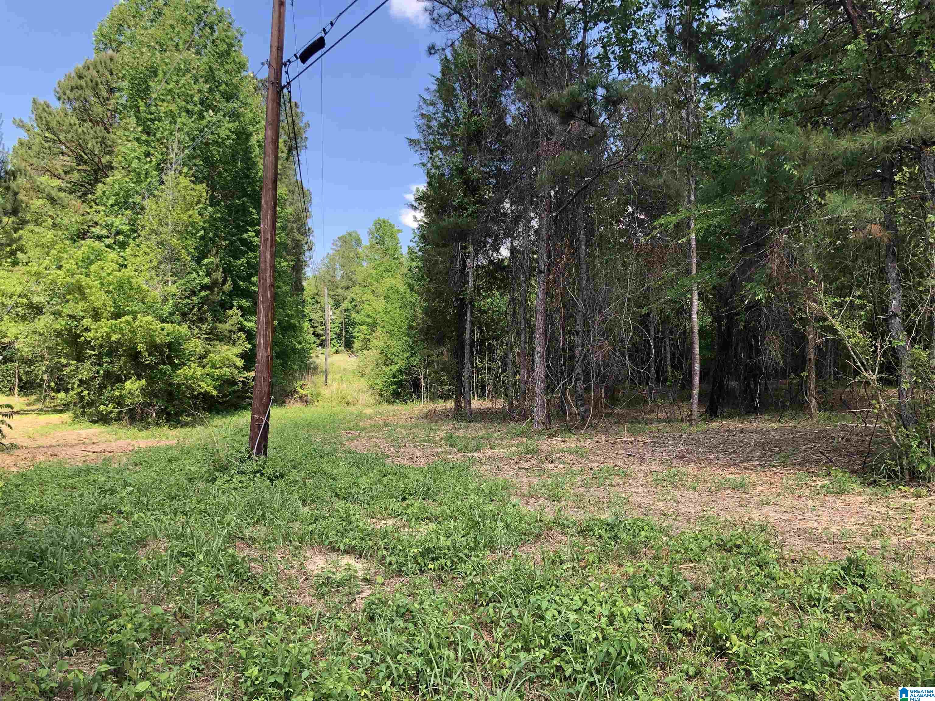 0 Peeks Hill Road, Unit 1 Ohatchee, AL 36271 - Photo 5 of 6