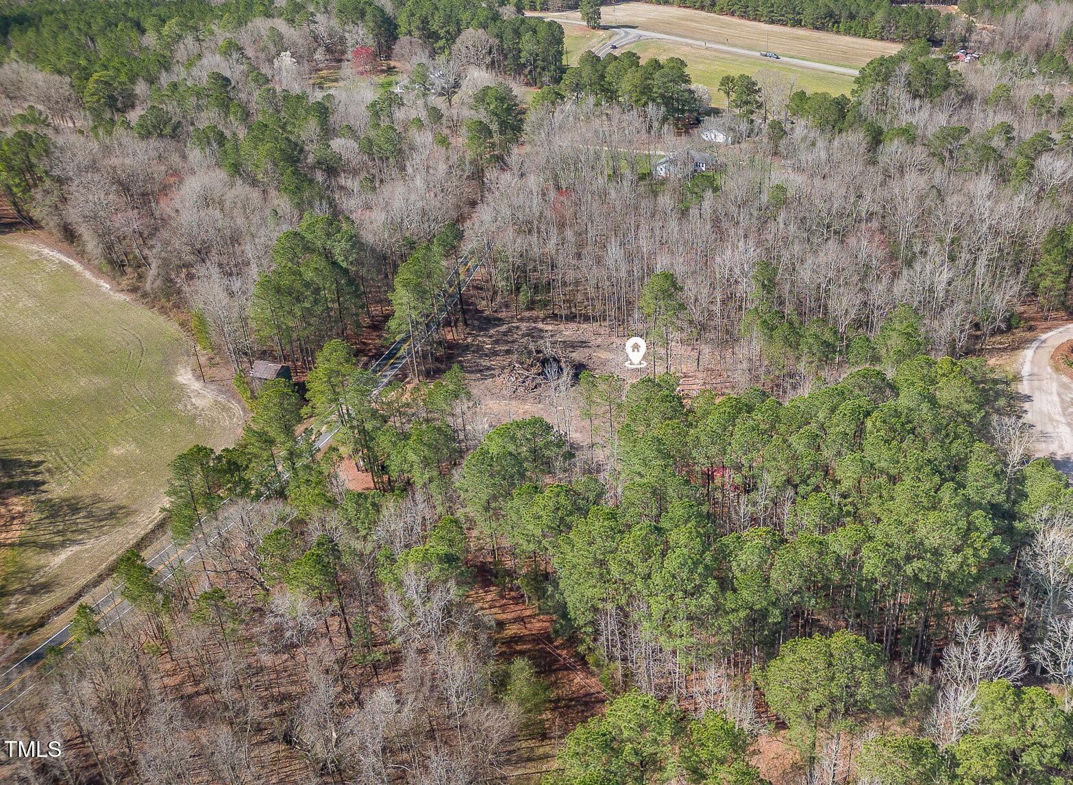 6905 Buck Road Wendell, NC 27591 - Photo 15 of 15 a view of a forest with a yard