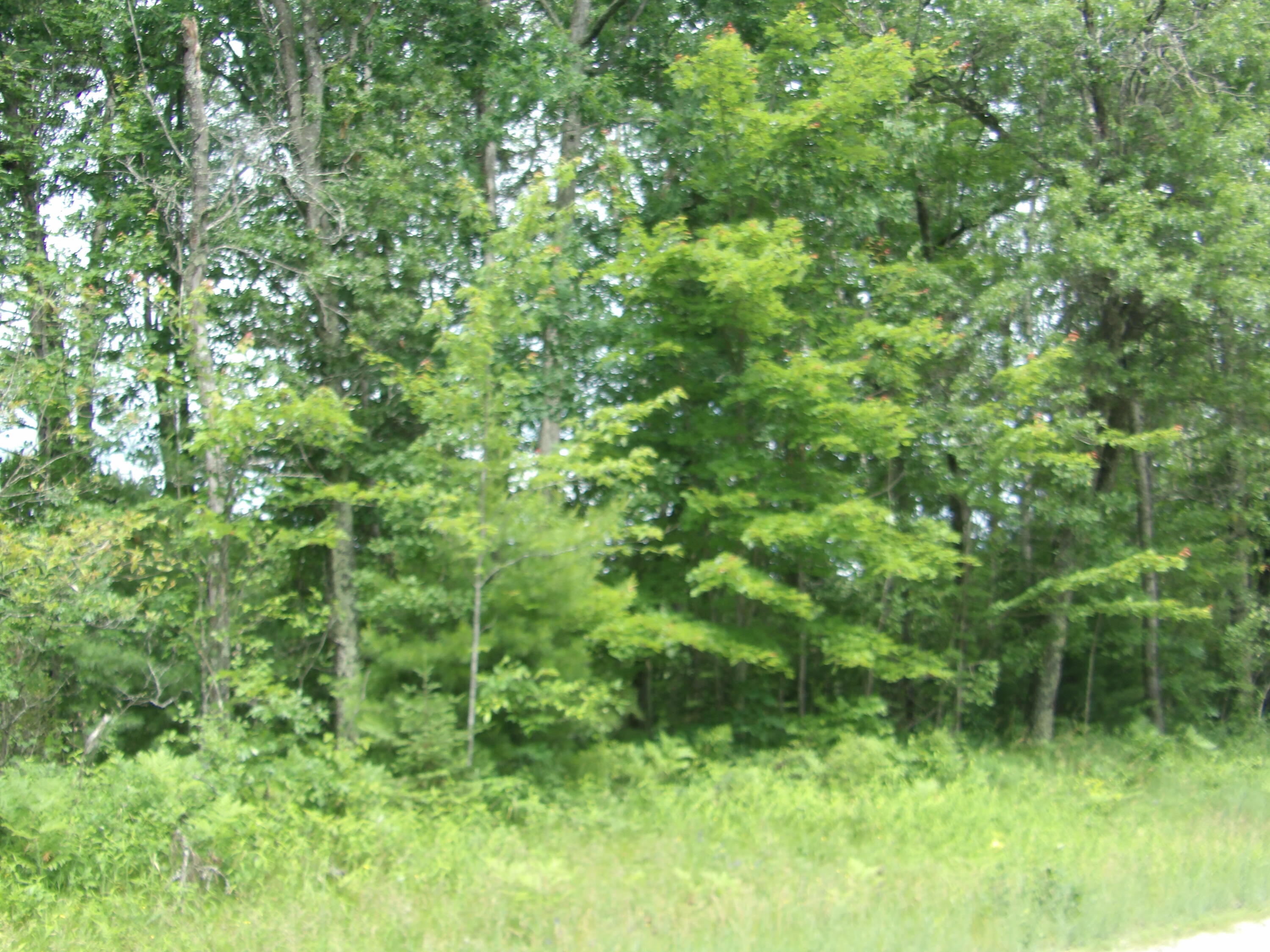 4 Parkway Road Crivitz, WI 54114 - Photo 3 of 3 Wooded b