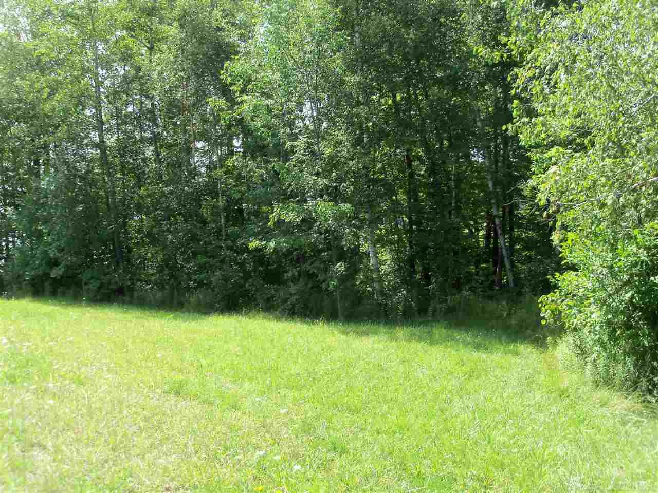 0 Lakeshore Road Minden City, MI 48465 - Photo 9 of 14 Gallery Image 9