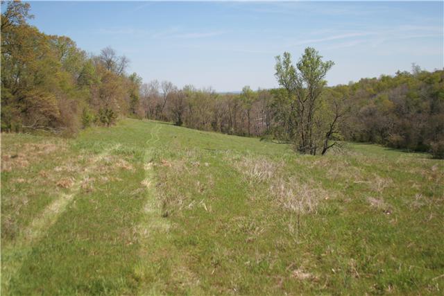 1 Berea Church Road Lebanon, TN 37087 - Photo 6 of 8