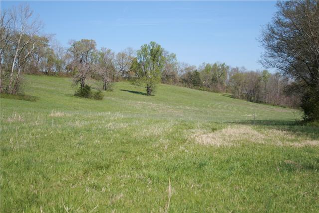1 Berea Church Road Lebanon, TN 37087 - Photo 8 of 8