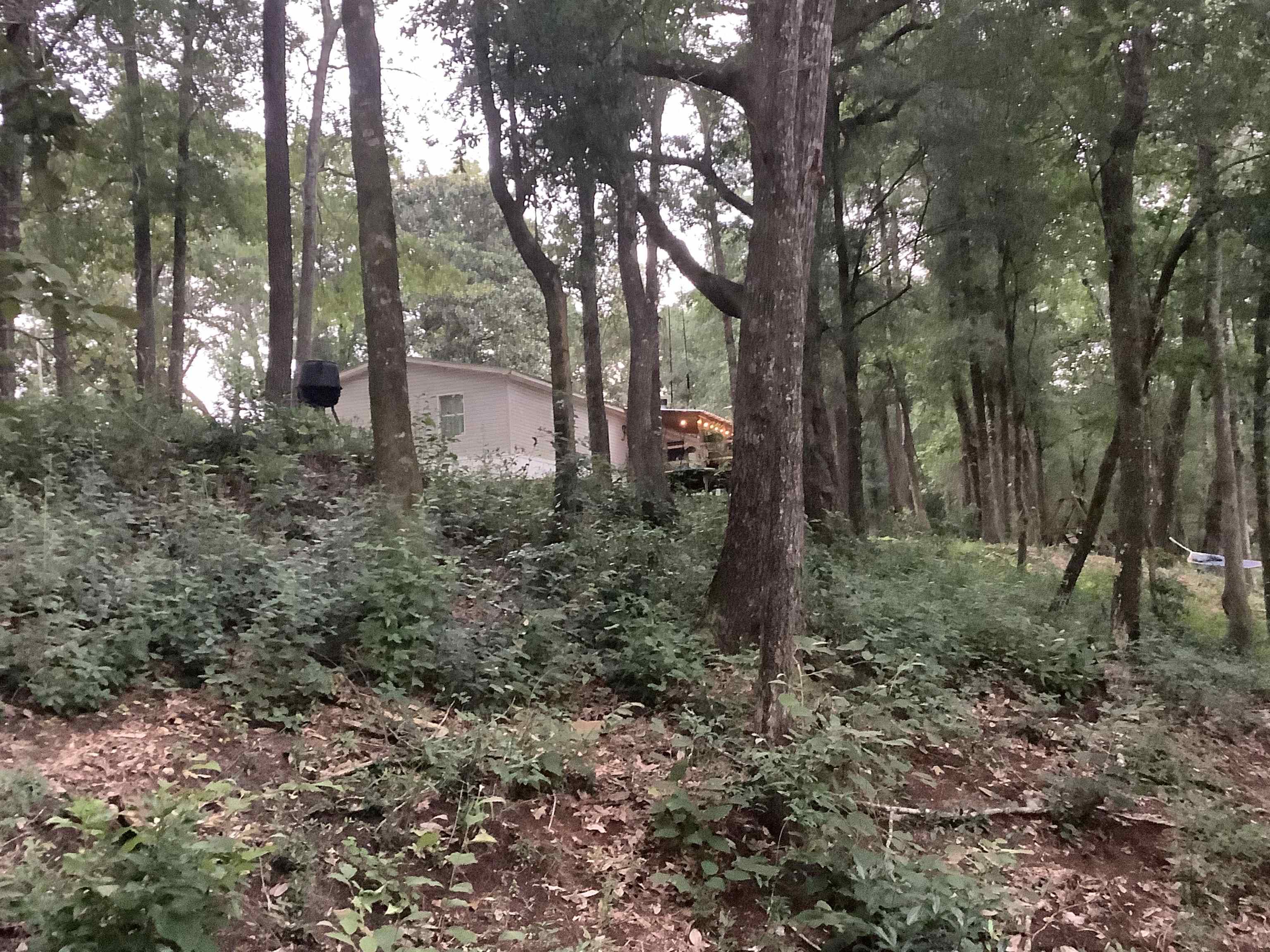 103740 Barnes Bridge Road Red Level, AL 36474 - Photo 34 of 44 Gallery Image 34