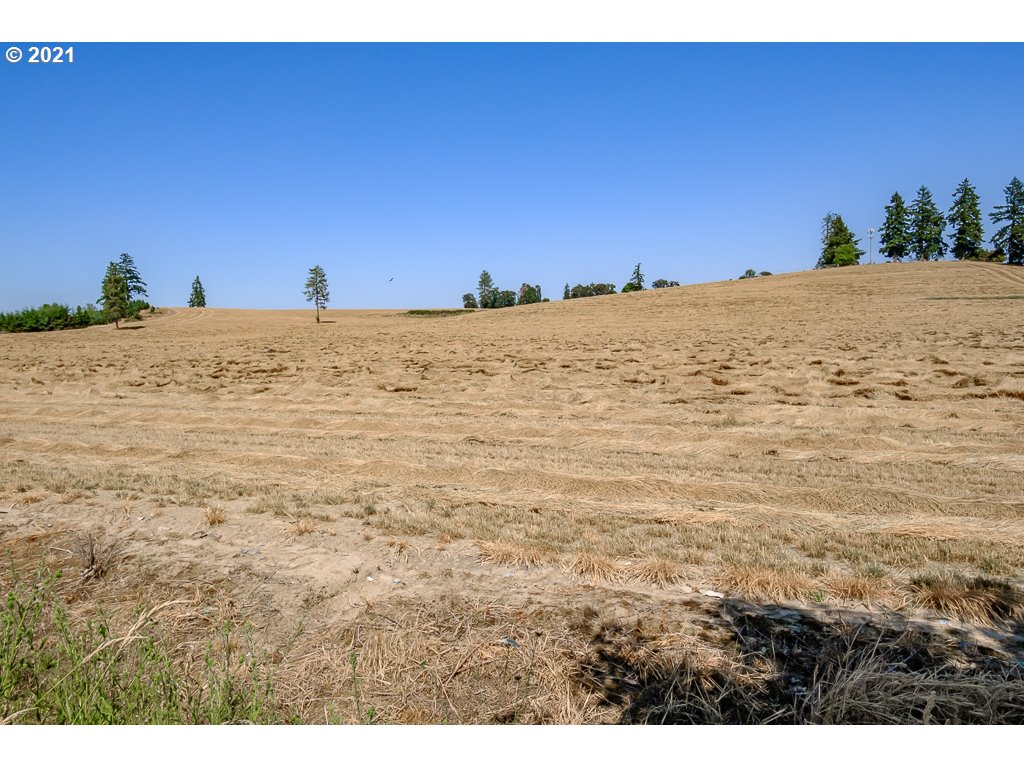 741 Salamander Road Southeast Jefferson, OR 97352 - Photo 29 of 32 Gallery Image 29