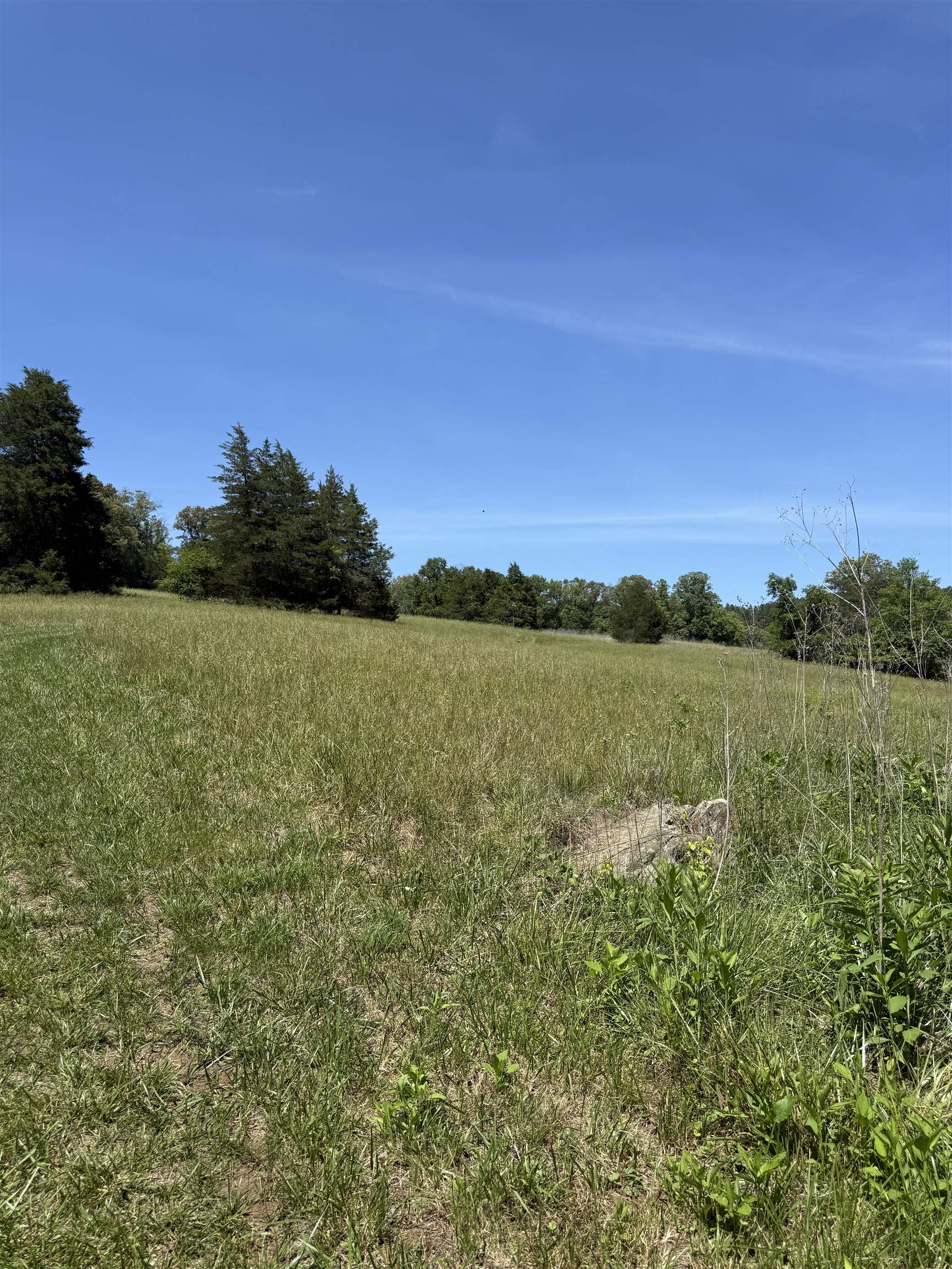 Powells Island Road Arrington, VA 22922 - Photo 9 of 10 Field