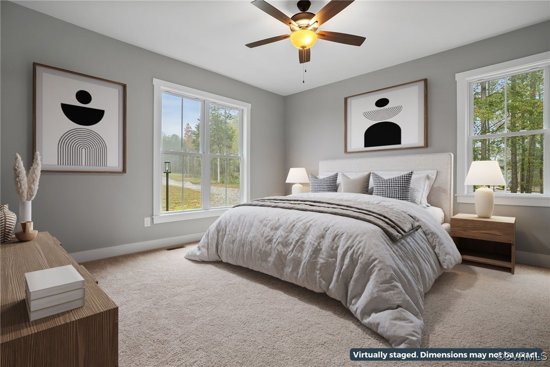 4670 Country Club Road La Crosse, VA 23950 - Photo 21 of 22 Gallery Image 21