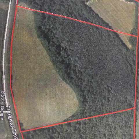 48-acres Fletcher Smith Road Dothan, AL 36301 - Photo 1 of 1