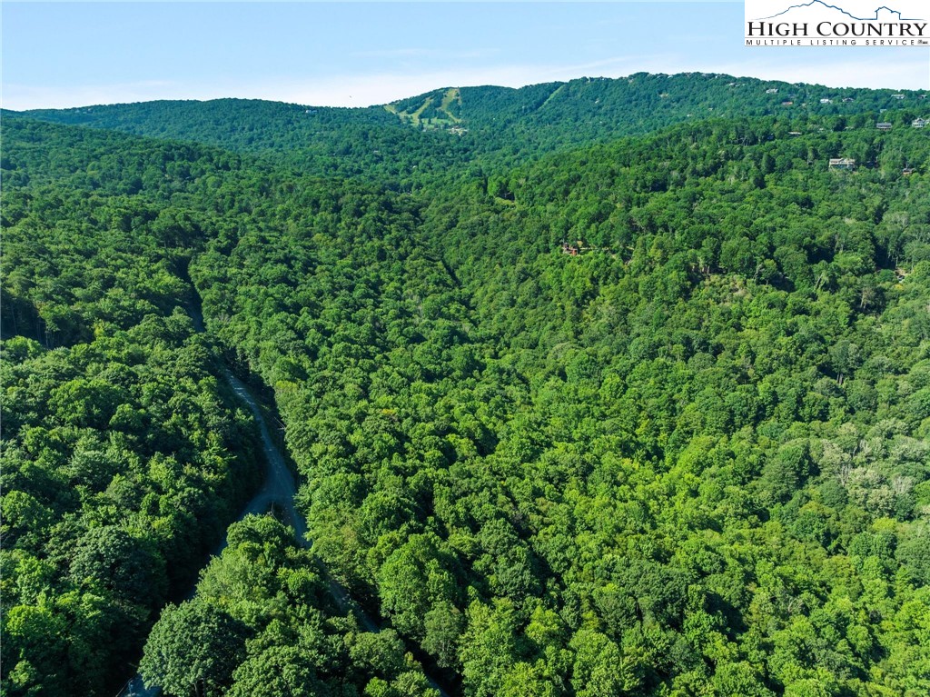 303 Locust Ridge Road Beech Mountain, NC 28604 - Photo 11 of 26 a view of a lush green field