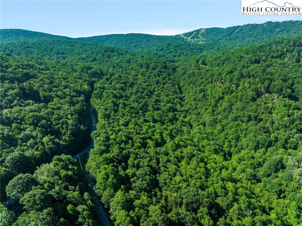 303 Locust Ridge Road Beech Mountain, NC 28604 - Photo 12 of 26 a view of a lush green field