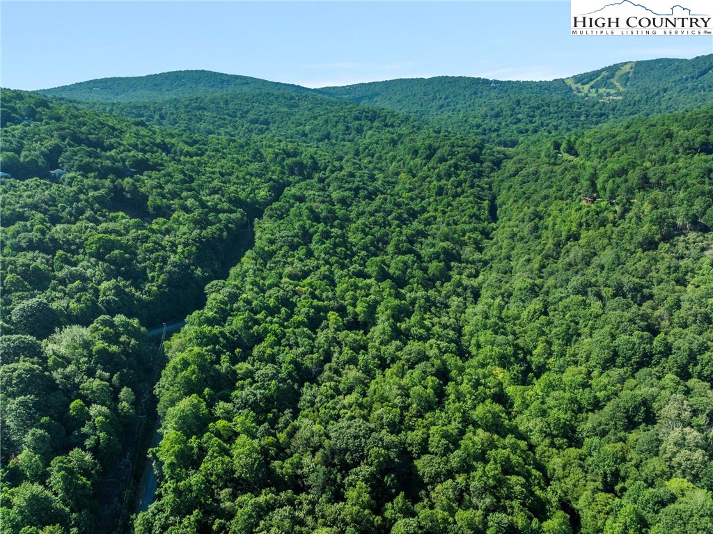 303 Locust Ridge Road Beech Mountain, NC 28604 - Photo 13 of 26 a view of a field with a lush green forest
