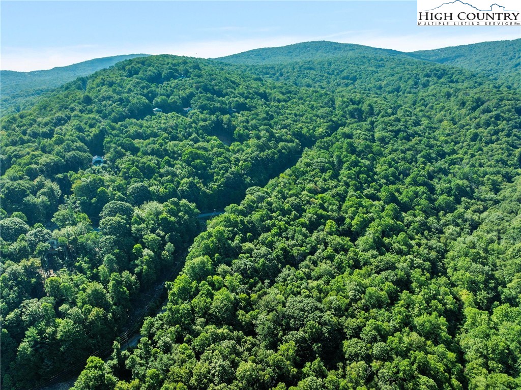 303 Locust Ridge Road Beech Mountain, NC 28604 - Photo 14 of 26 a view of a field of grass and trees