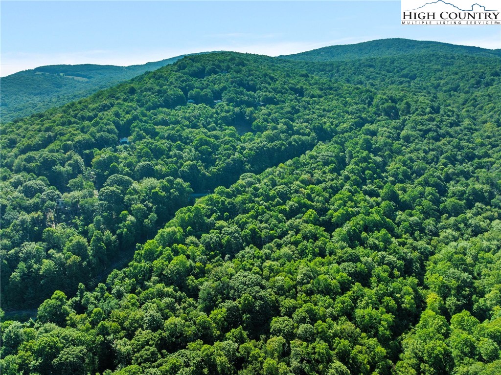 303 Locust Ridge Road Beech Mountain, NC 28604 - Photo 15 of 26 a view of a field of grass and trees