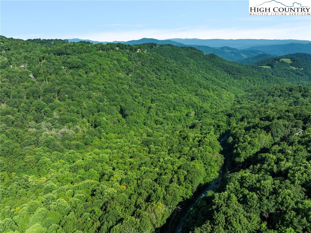 303 Locust Ridge Road Beech Mountain, NC 28604 - Photo 16 of 26 a view of a green field with lots of bushes