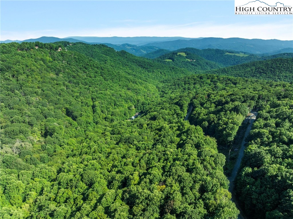 303 Locust Ridge Road Beech Mountain, NC 28604 - Photo 17 of 26 a view of a lush green field