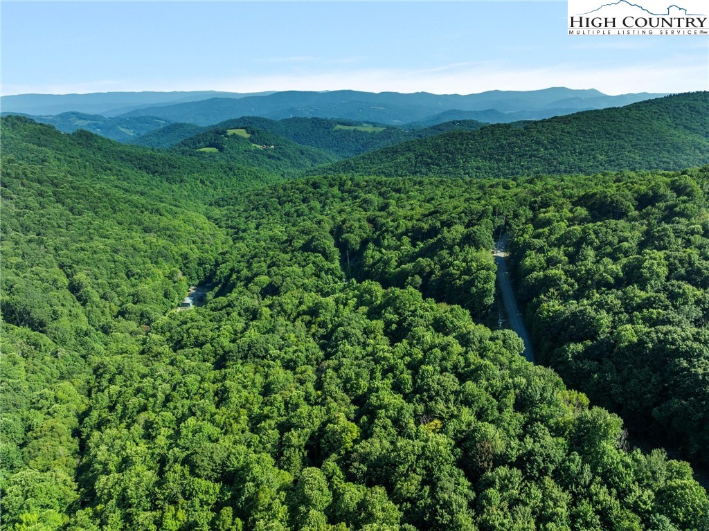 303 Locust Ridge Road Beech Mountain, NC 28604 - Photo 18 of 26 a view of a lush green hillside and houses