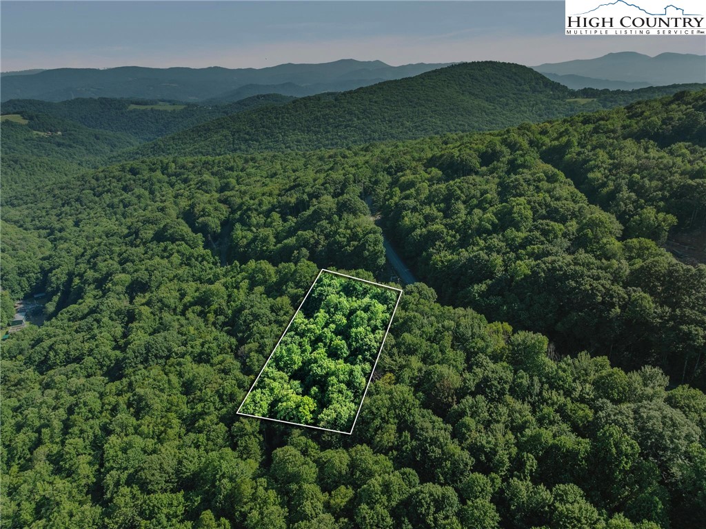 303 Locust Ridge Road Beech Mountain, NC 28604 - Photo 19 of 26 a view of a lush green hillside and a building