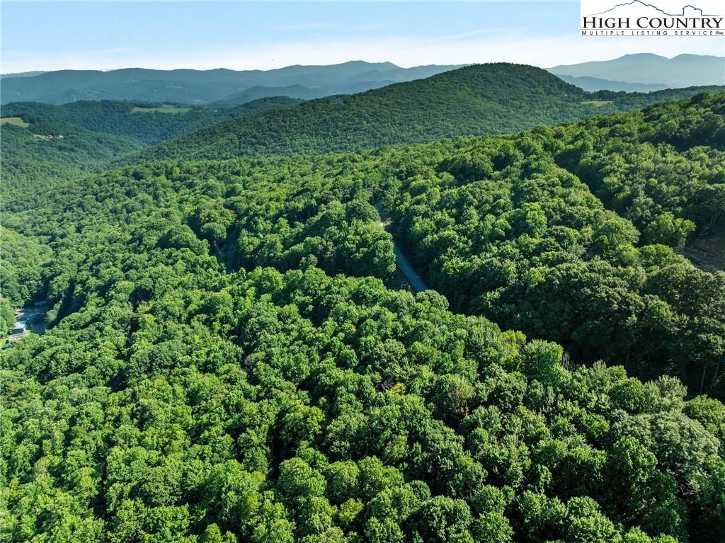 303 Locust Ridge Road Beech Mountain, NC 28604 - Photo 20 of 26 a view of a lush green hillside and houses
