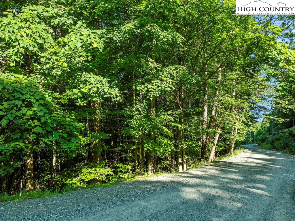 303 Locust Ridge Road Beech Mountain, NC 28604 - Photo 2 of 26 a view of a field with a tree