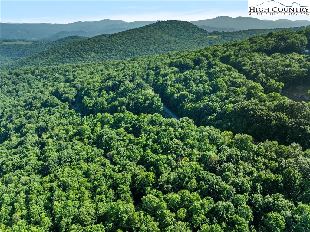 303 Locust Ridge Road Beech Mountain, NC 28604 - Photo 21 of 26 a view of a lush green forest with houses