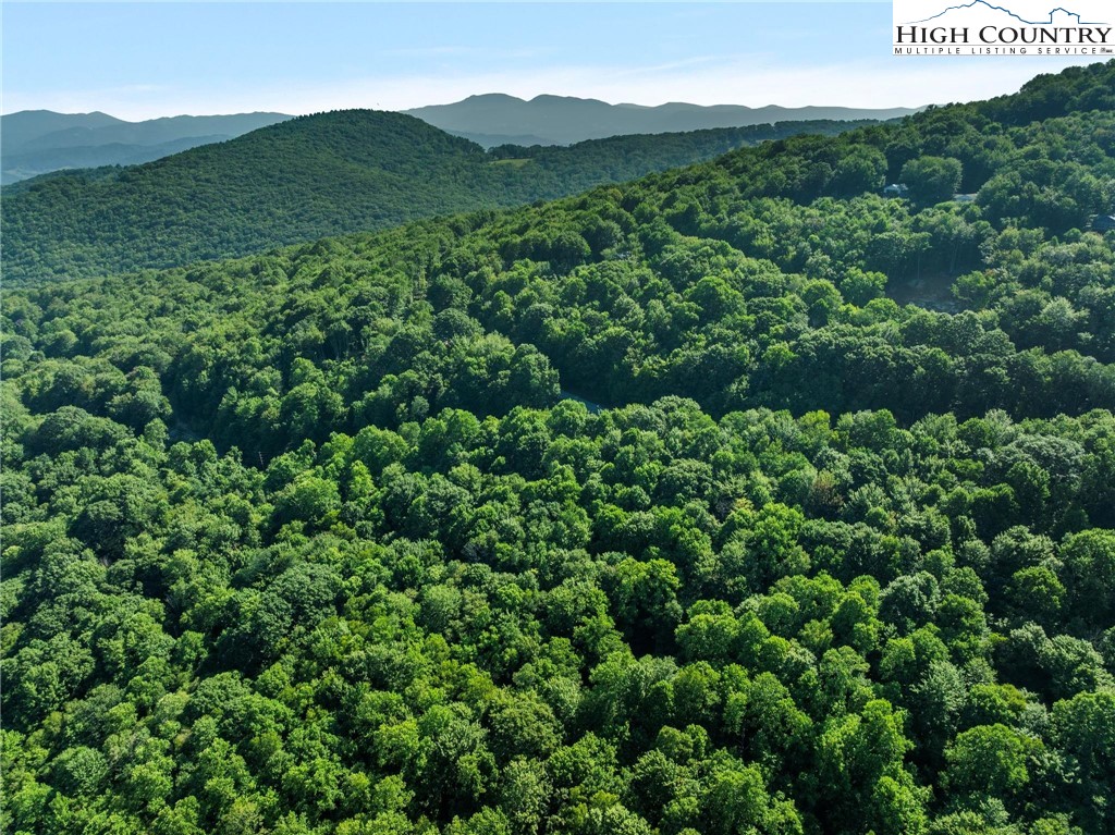 303 Locust Ridge Road Beech Mountain, NC 28604 - Photo 22 of 26 an aerial view of a house with a lush green hillside