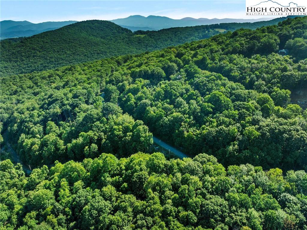 303 Locust Ridge Road Beech Mountain, NC 28604 - Photo 23 of 26 an aerial view of a house with a yard